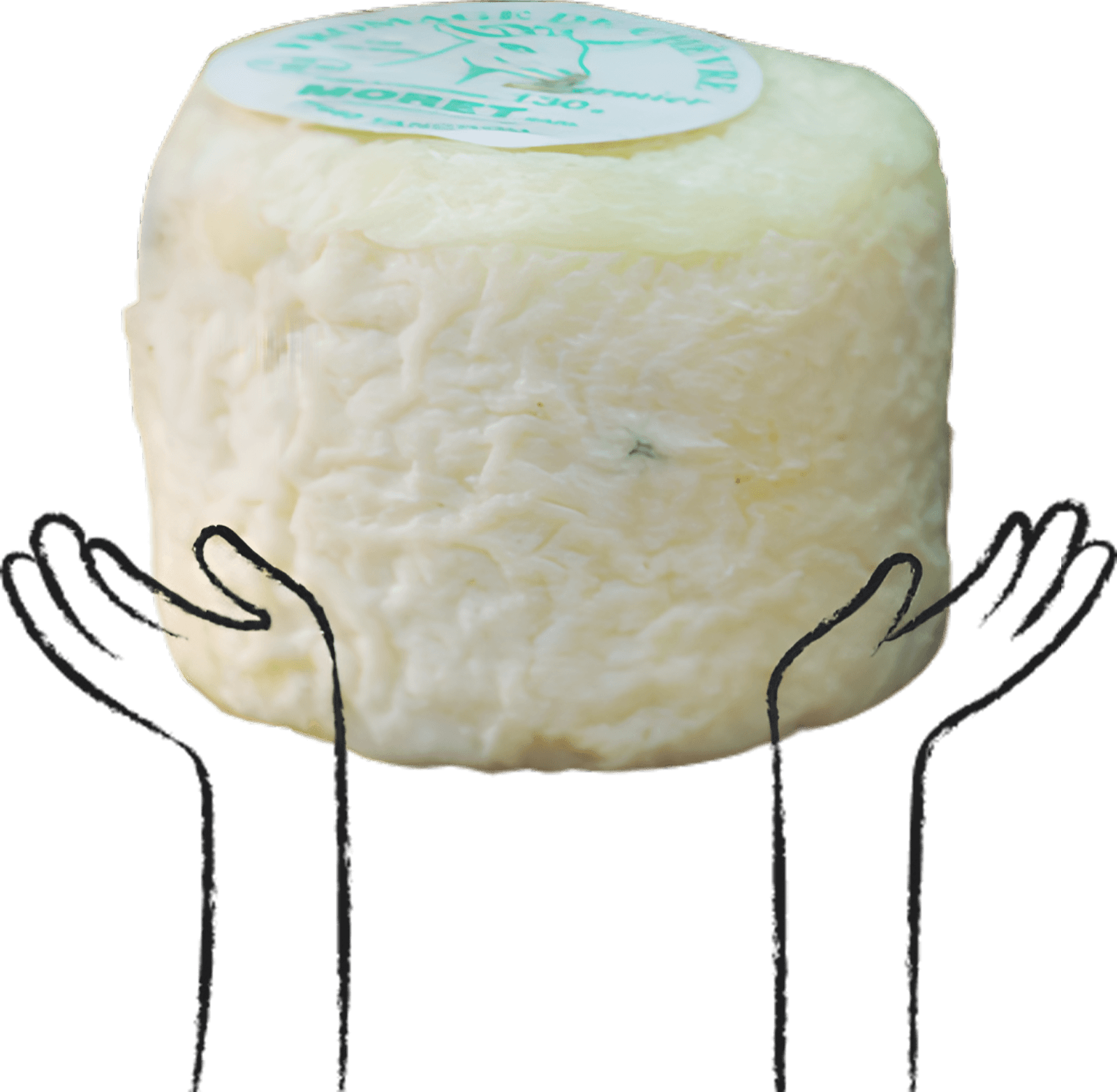 Crottin de chèvre de Moret présenté à deux mains