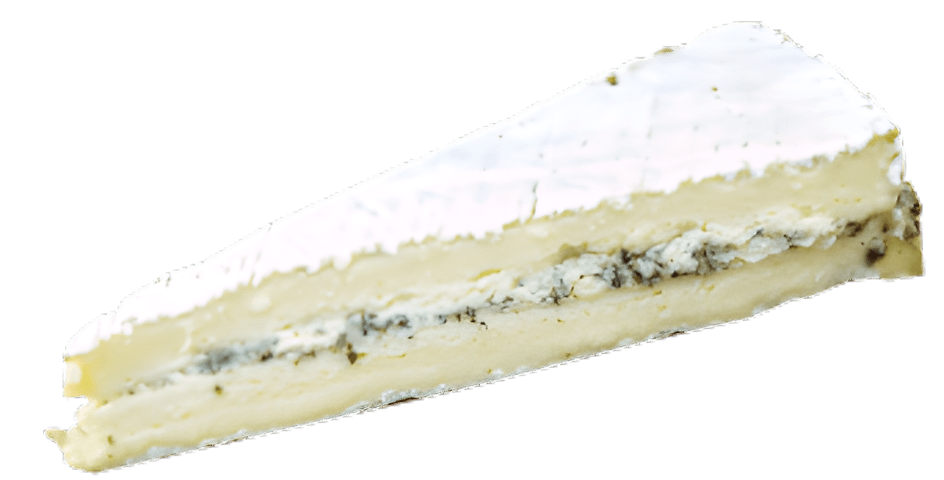 Brie truffé