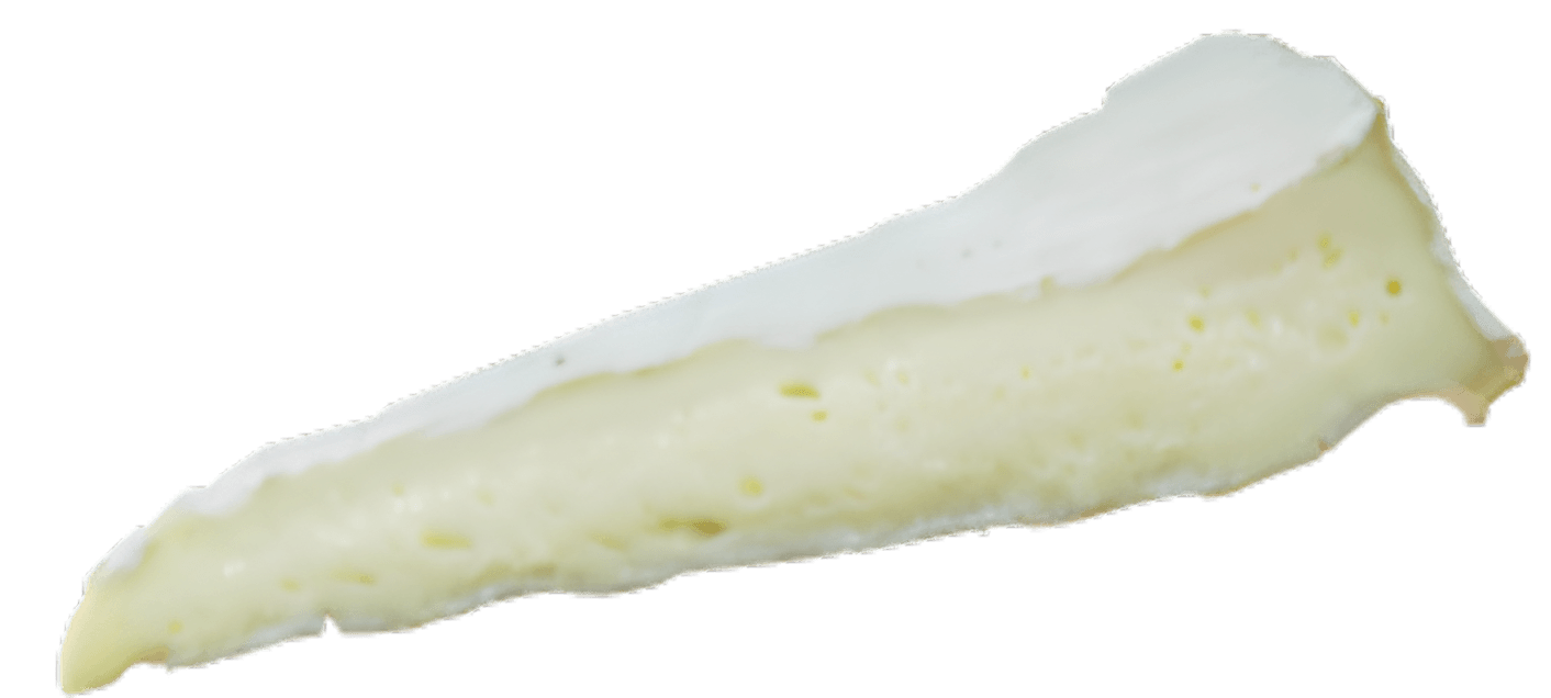 Brie (nature)