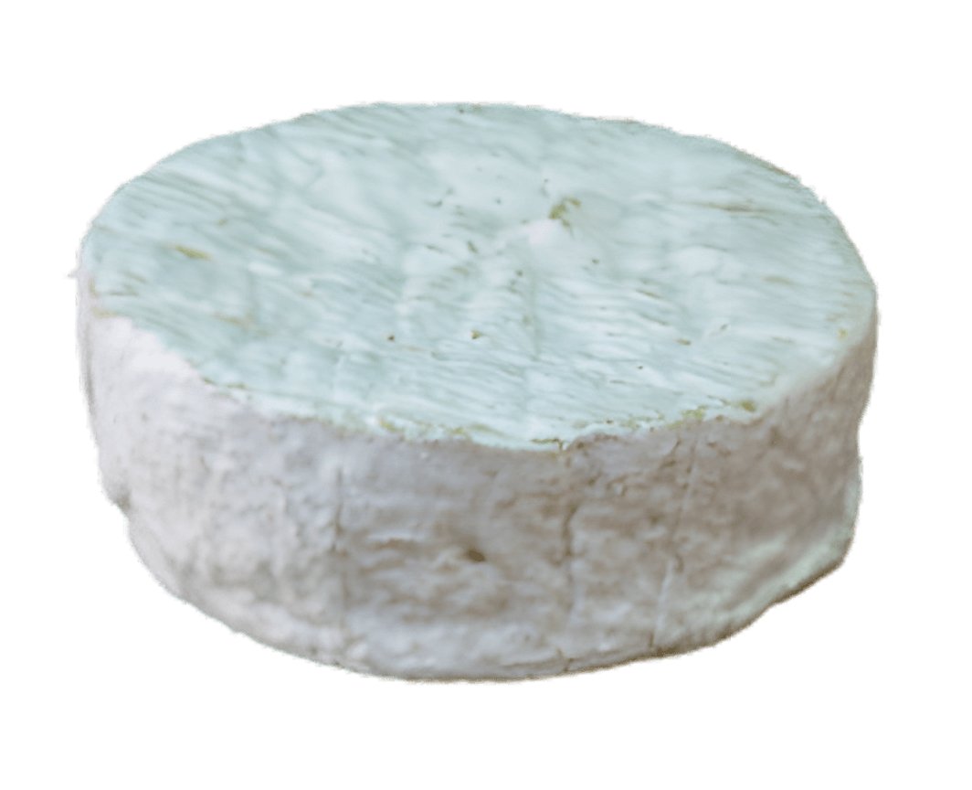 Camembert de Normandie