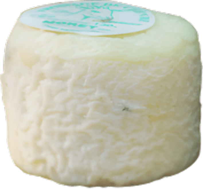Crottin de chèvre de Moret