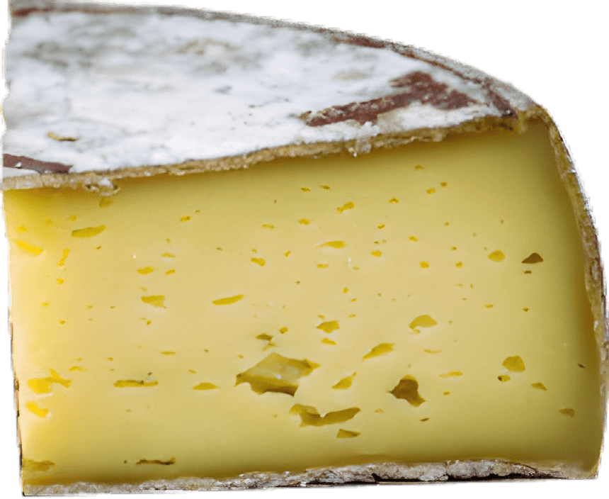 Tomme de Savoie