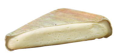 demi-amroilles