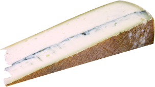 morbier