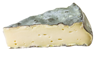 st-nectaire